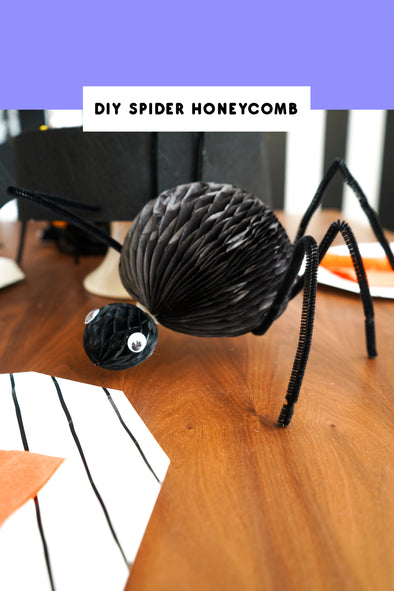 Make your Own Spider Honeycomb